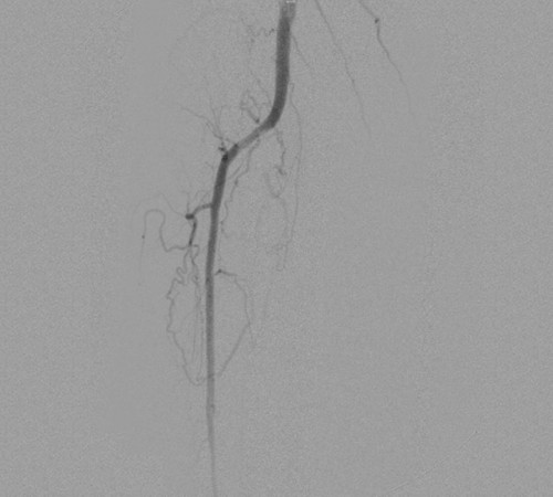 case3-image1 case3-image1