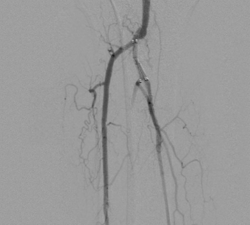 case3-image2 case3-image2